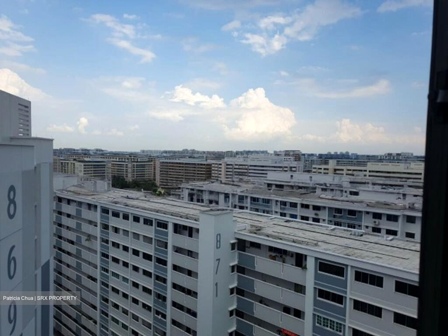 Blk 869A Tampines Greenwood (Tampines), HDB 3 Rooms #523758331